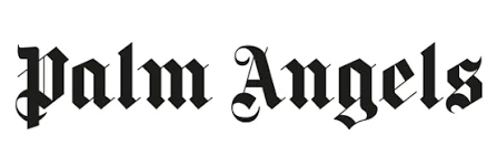 Palm Angles Logo